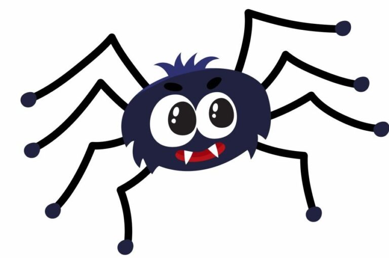 morsure de cricket daraignee symptomes traitement et prevention