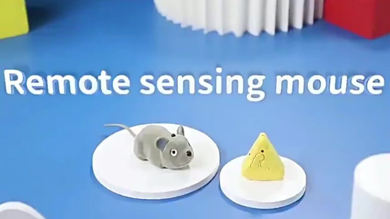 mouse chasing cat the ultimate guide to pest control