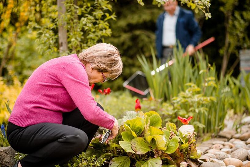 mulots remedes de grand mere efficaces et naturels