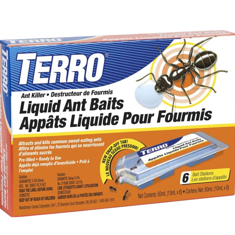 nettoyer les fourmis mortes est ce necessaire
