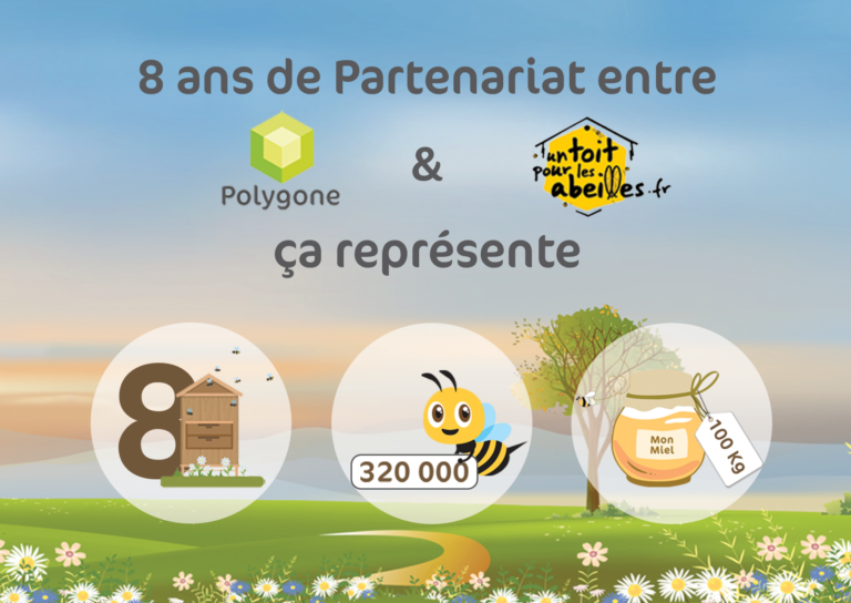 nom collectif des abeilles decouvrez comment on appelle un groupe dabeilles