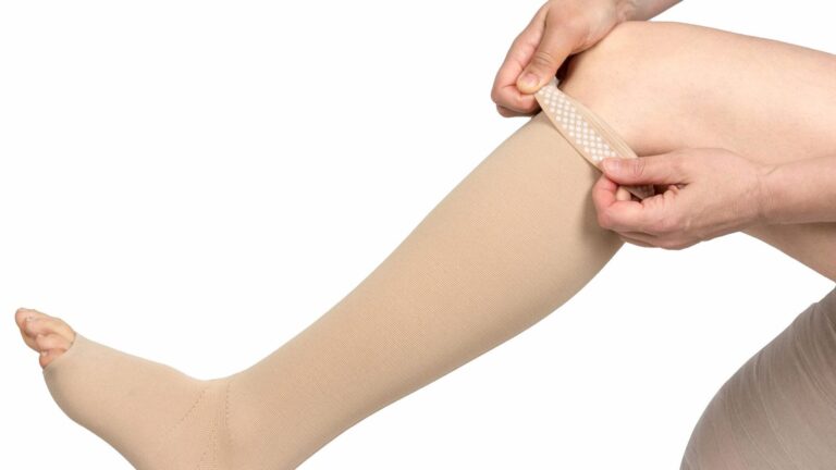 nombre de jambes decouvrez combien en a t elle
