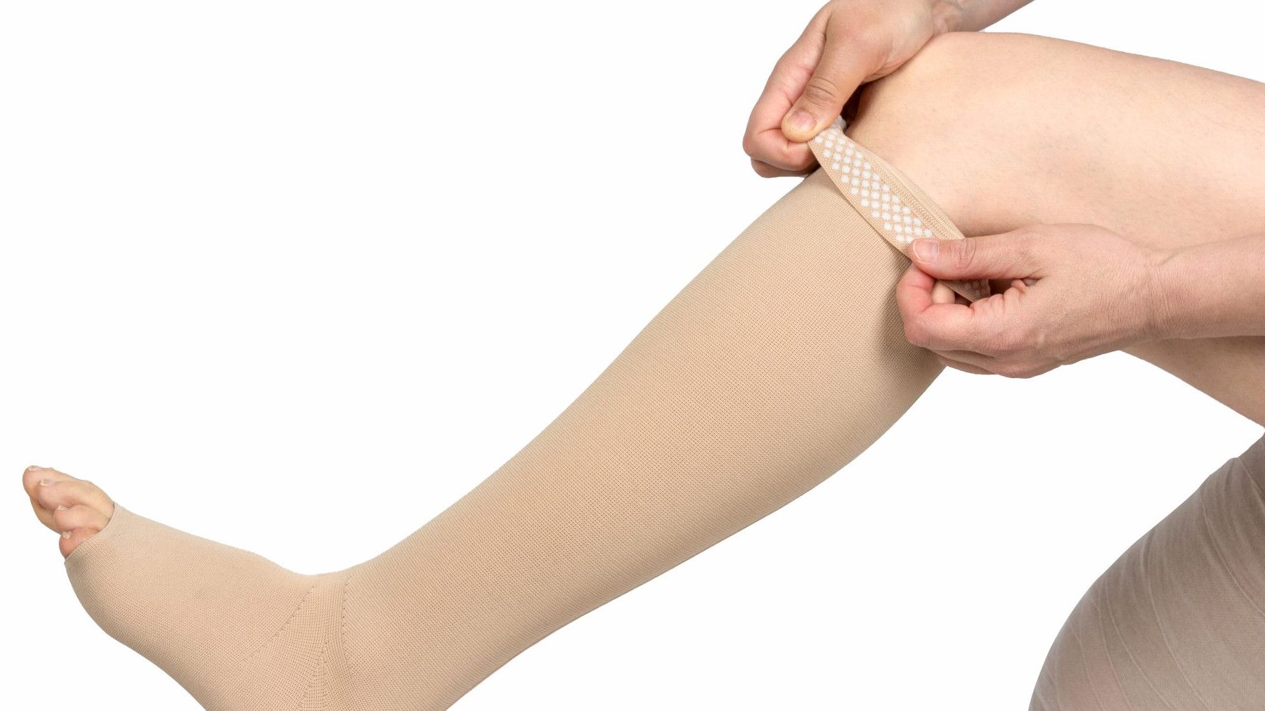 nombre de jambes decouvrez combien en a t elle