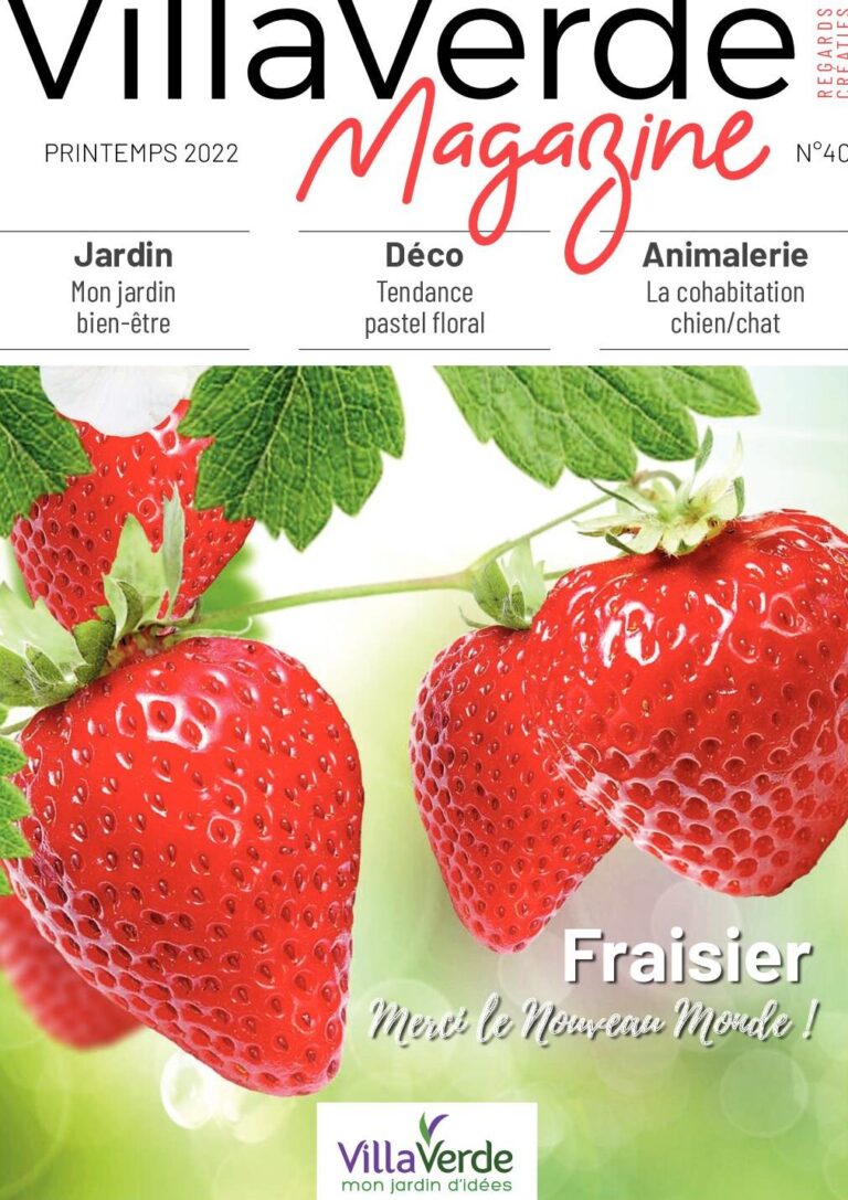nombre limitant de mouches aux fruits tout ce que vous devez savoir