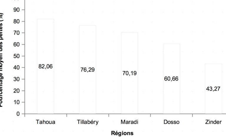 nuisibles mealybugs vs echelle comparaison et lutte antiparasitaire