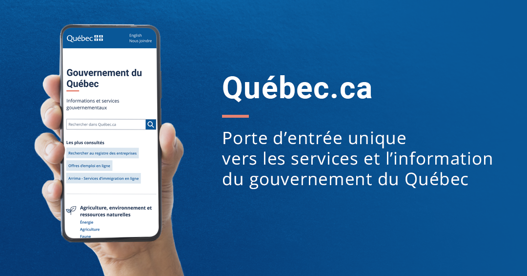 observation inhabituelle apercevoir un rat en plein jour