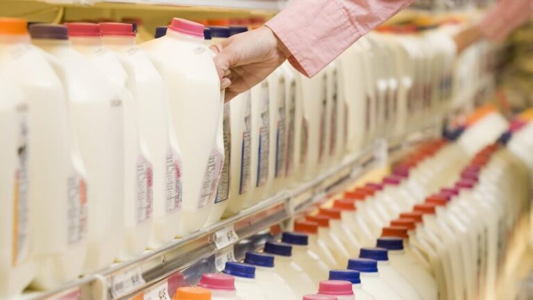 oeufs de cuisine fermes tout ce que vous devez savoir