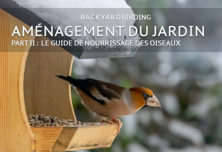 oiseaux parasites mythe ou realite decouvrez la verite ici