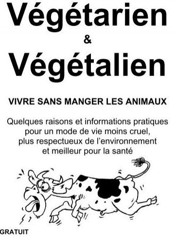opossums et clotures peuvent ils grimper conseils antiparasitaires