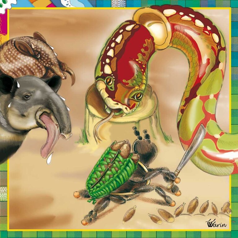 origine des araignees decouvrez leur provenance