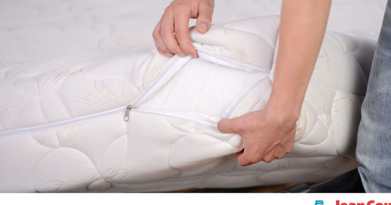 ou acheter des punaises de lit vivantes guide pratique et conseils