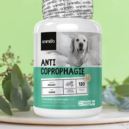 peut on manger de la nourriture pour chiens reponse dun expert en lutte antiparasitaire