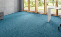 Pièces en carpet : la solution idéale pour un sol impeccable pieces-en-carpet-la-solution-ideale-pour-un-sol-impeccable