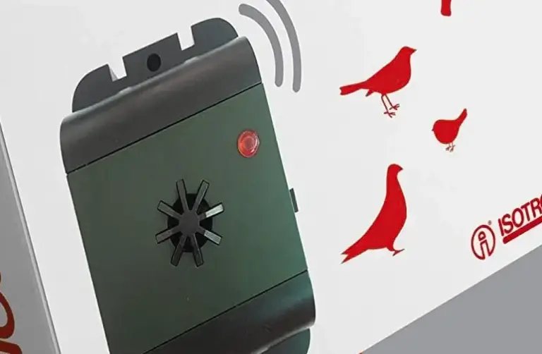 piege a pigeon solutions efficaces contre les nuisibles volants
