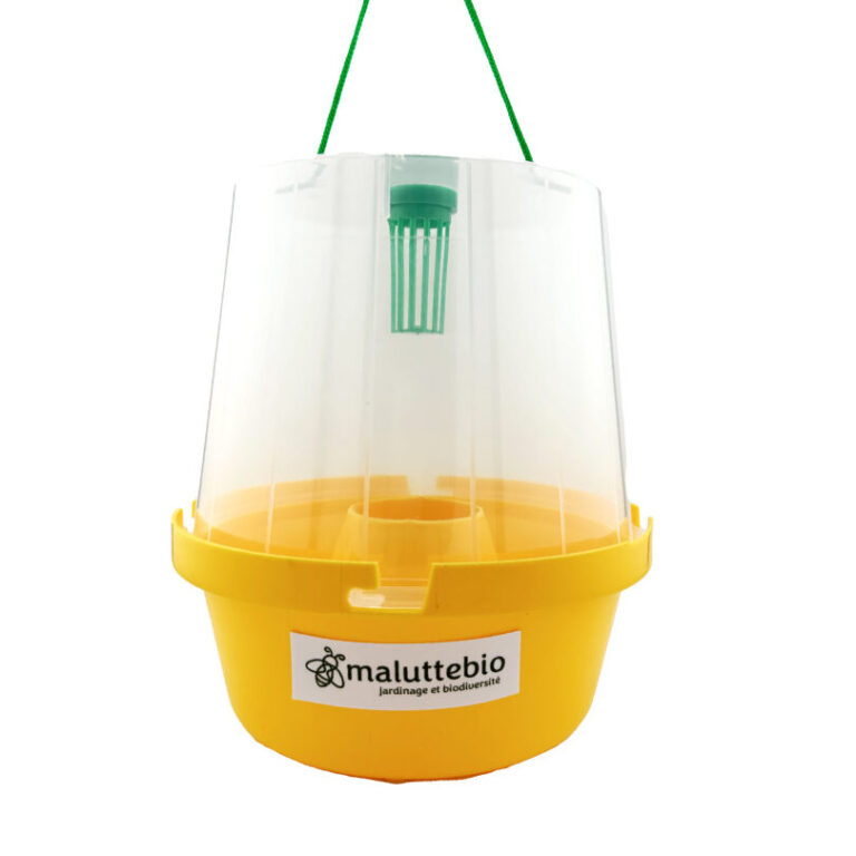 pieges a mouches a fruits les solutions efficaces pour eliminer ces nuisibles