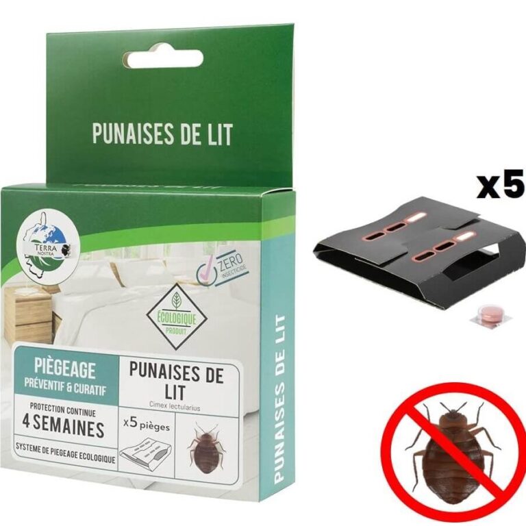 pieges a punaises solutions efficaces pour eliminer les nuisibles