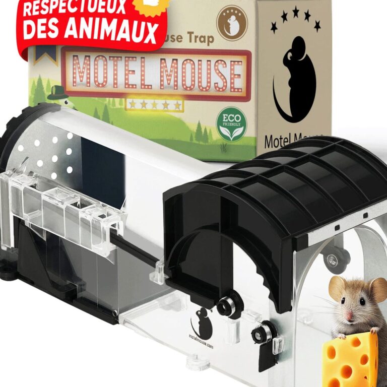 pieges a rat efficaces guide pour une lutte antiparasitaire reussie