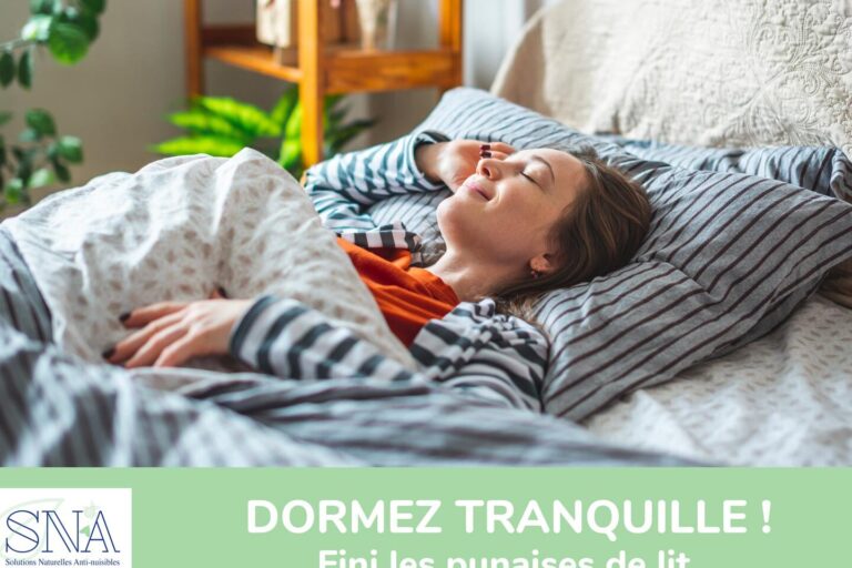 piqure de la nature guide pratique pour se proteger des nuisibles