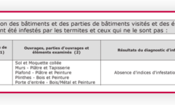 plafond-infeste-de-termites-solutions-et-prevention