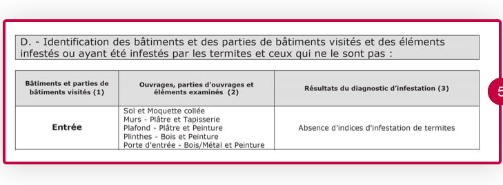 plafond infeste de termites solutions et prevention