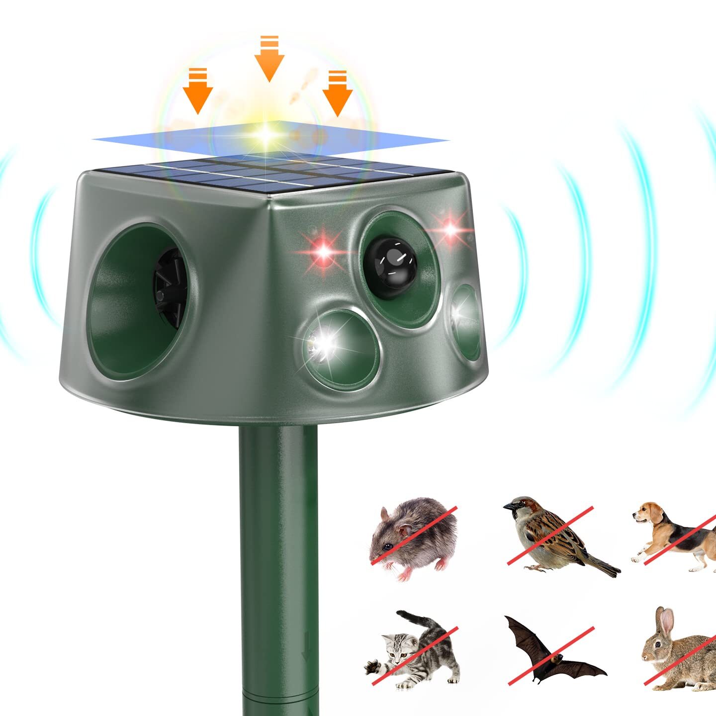 plantes anti mouffettes les meilleures especes pour les repousser