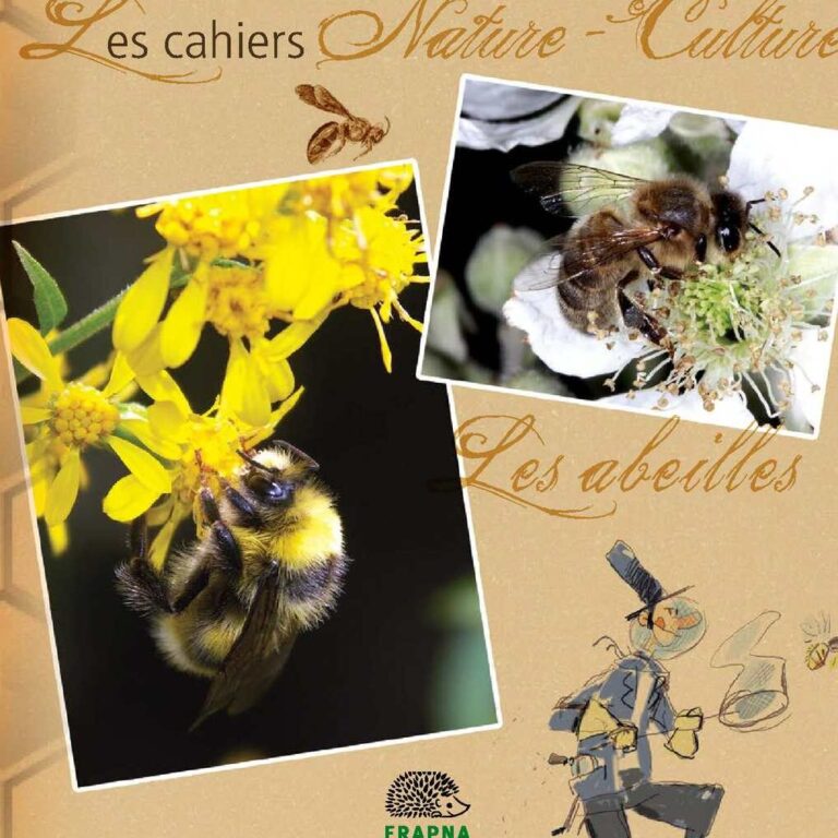predation des abeilles charpentieres par les pics analyse de leur impact