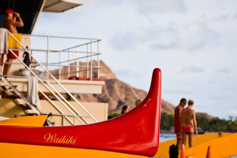 presence de tiques a kauai ce quil faut savoir