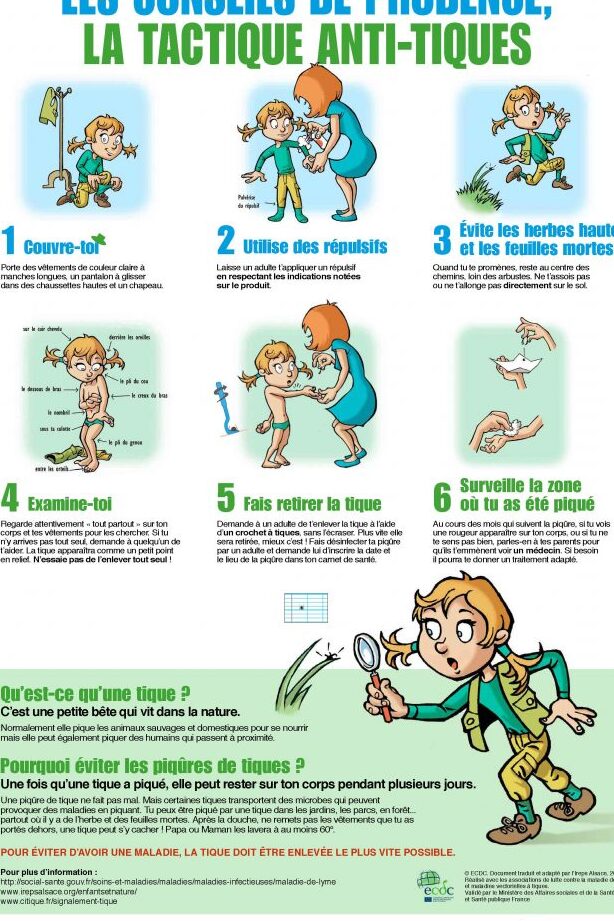 prevention et traitement des piqures de tiques lone star guide pratique