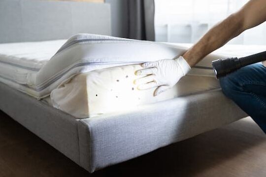 protocole efficace contre les punaises de lit en collectivite