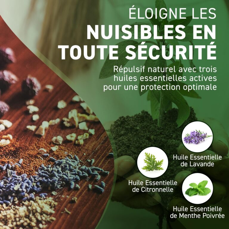pulverisation a lhuile de menthe poivree une solution naturelle contre les nuisibles