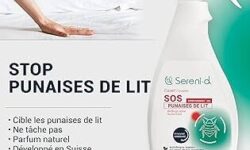 pulverisation-anti-punaises-de-lit-une-solution-efficace-pour-sen-debarrasser