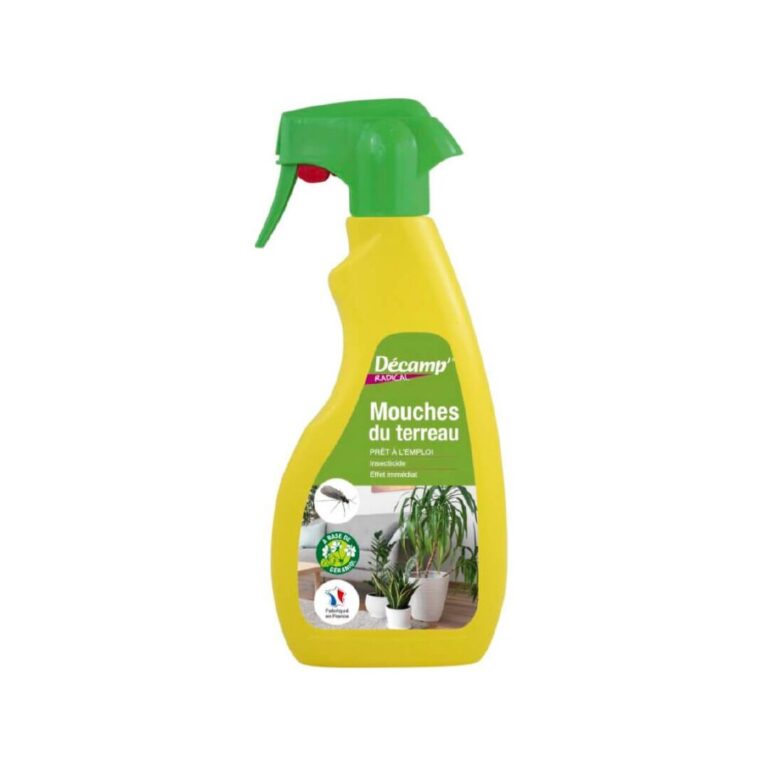 pulverisation maison anti mouches des fruits des astuces efficaces