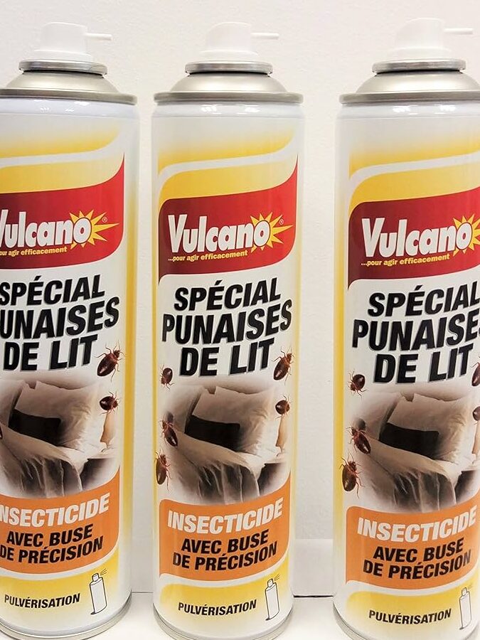pulverisation professionnelle contre les punaises de lit une solution efficace pour votre commerce