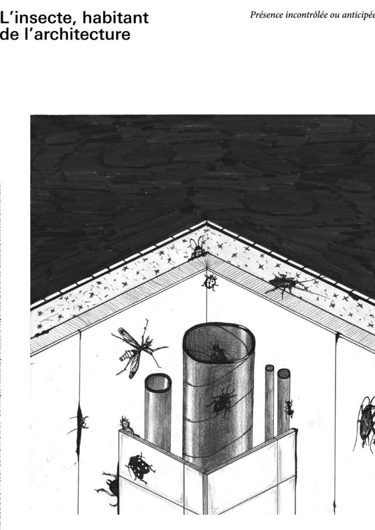 rat de toit texan guide de lutte antiparasitaire
