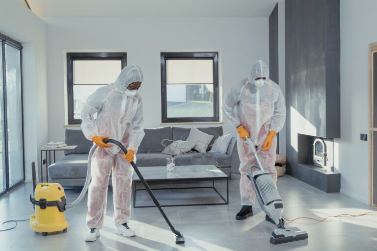 ravage solutions efficaces et durables pour lutter contre les nuisibles