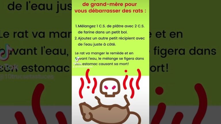 recette de grand mere efficace pour eliminer les rats