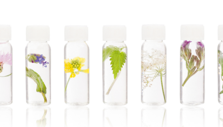 remedes maison contre les tiques solutions efficaces et naturelles