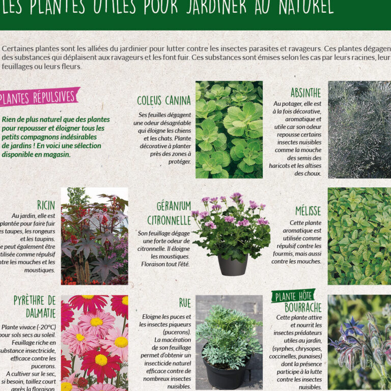 repulsif naturel contre les abeilles un moyen efficace de les eloigner