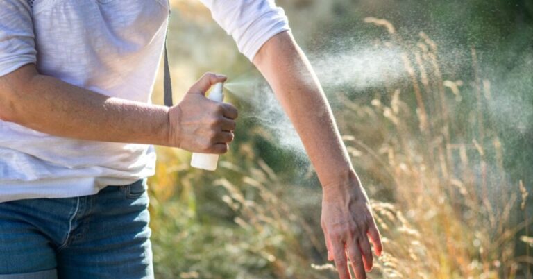 Comprendre la présence des bugs en été : explications et solutions