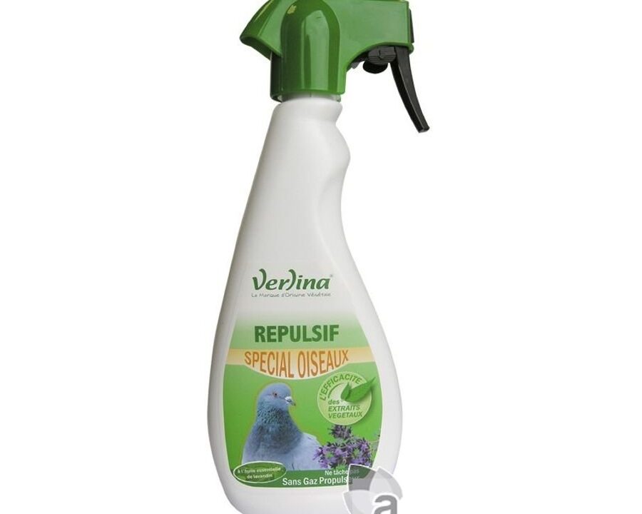 repulsif oiseaux la solution efficace pour eloigner les nuisibles