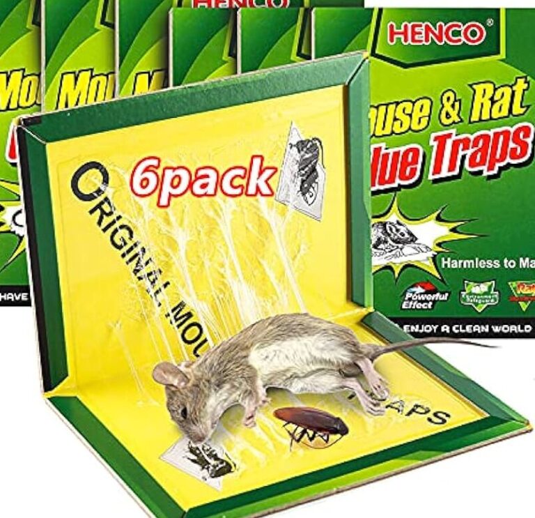 retrait de souris en 24 heures service de lutte antiparasitaire rapide et efficace