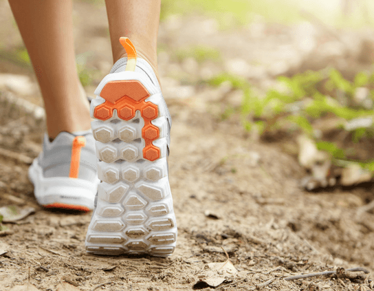 ruban de la maladie de lyme prevention et traitement efficaces