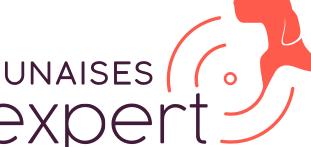 scabies vs punaises de lit quelles differences