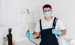 servicemaster-des-berkshires-experts-en-lutte-antiparasitaire-et-gestion-des-nuisibles