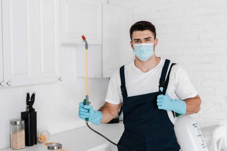 servicemaster des berkshires experts en lutte antiparasitaire et gestion des nuisibles
