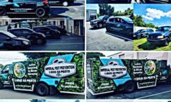 services-beacon-pest-experts-en-lutte-antiparasitaire-pour-une-protection-efficace