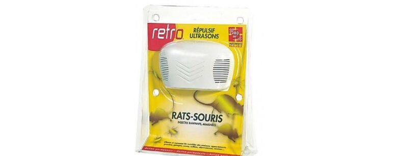 Services de lutte antiparasitaire contre les rongeurs à Lincoln, NE 1 services de lutte antiparasitaire contre les rongeurs a lincoln ne