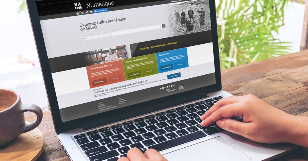 shreveport lutte antiparasitaire efficace et resultats visibles