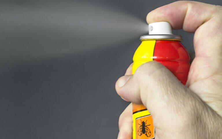 solution anti mousse dabeille pulverisez efficacement