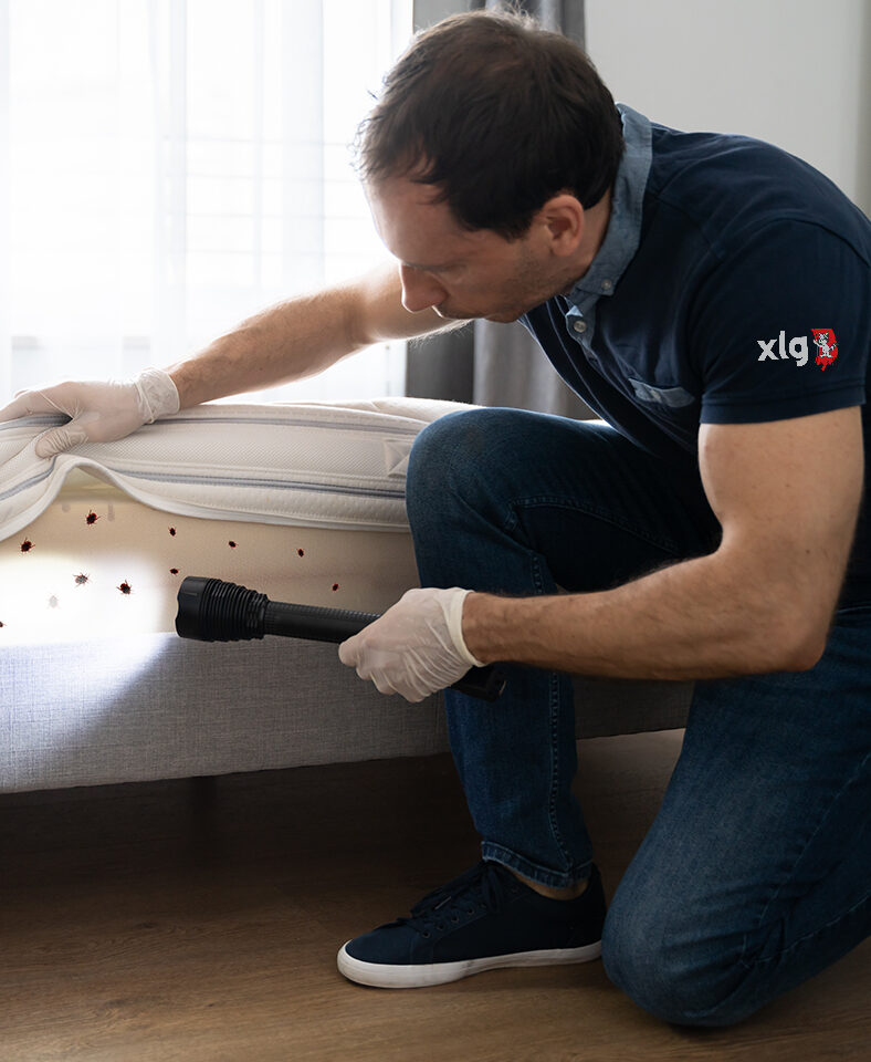 solution efficace mettez un sac dessus pour lutter contre les nuisibles